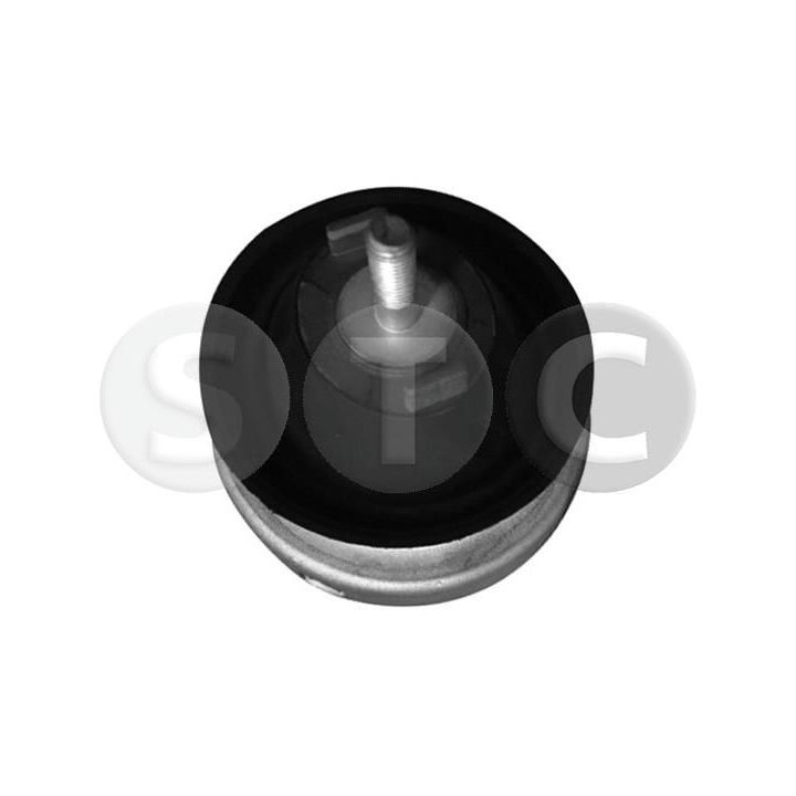 Variklio montavimas STC T456042