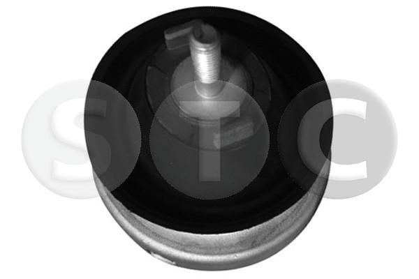 Variklio montavimas STC T456042