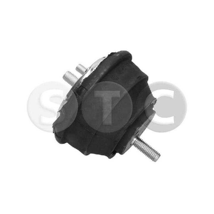 Variklio montavimas STC T456963