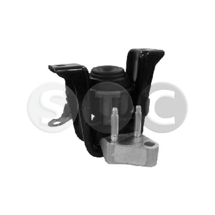 Variklio montavimas STC T456974