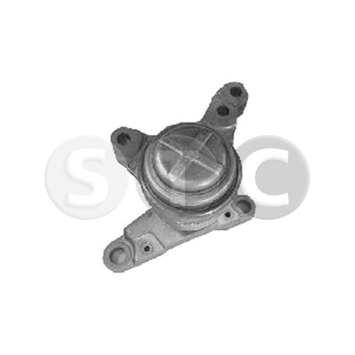 Variklio montavimas STC T456980