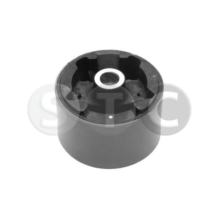 Variklio montavimas STC T456981