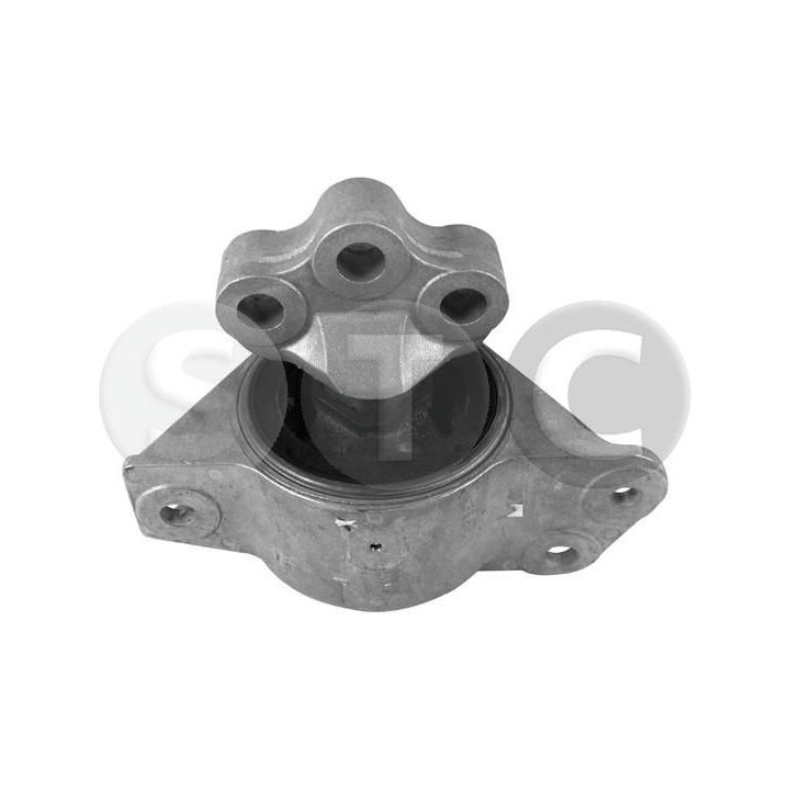 Variklio montavimas STC T457039