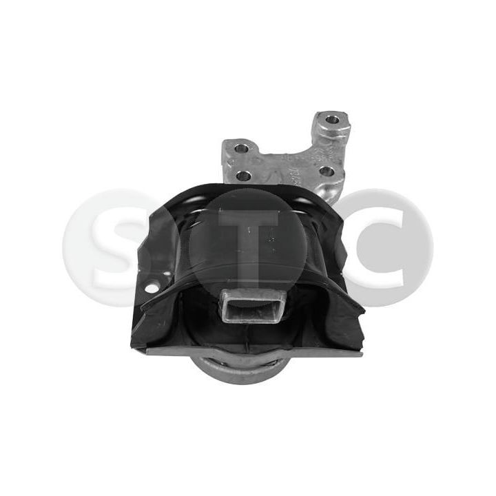 Variklio montavimas STC T457047