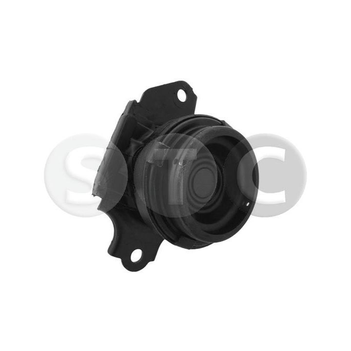 Variklio montavimas STC T457221