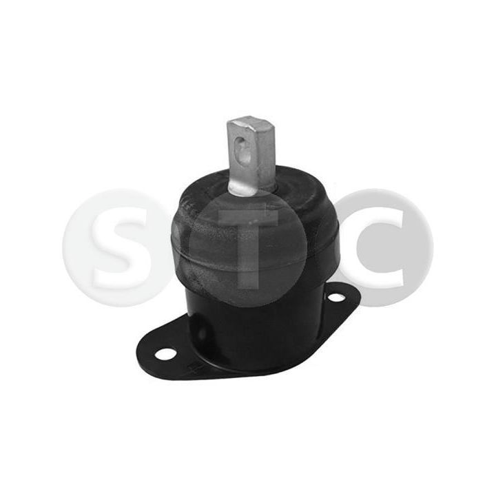 Variklio montavimas STC T457224