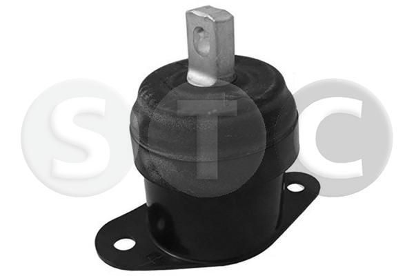 Variklio montavimas STC T457224
