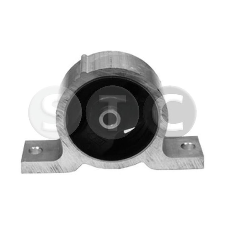 Variklio montavimas STC T457235