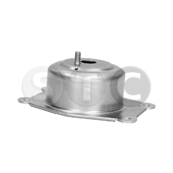 Variklio montavimas STC T457413