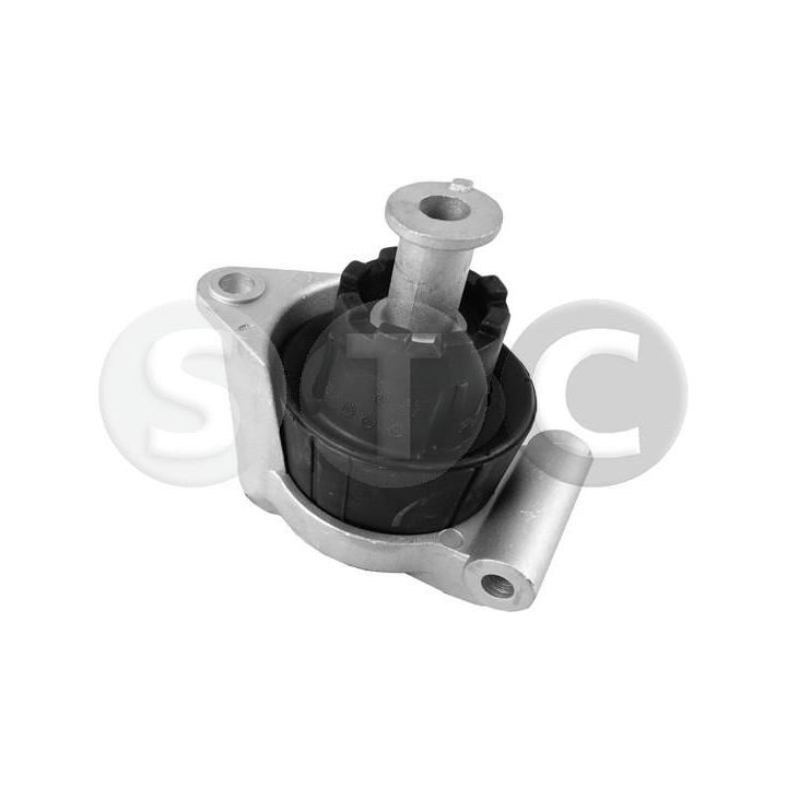 Variklio montavimas STC T457426