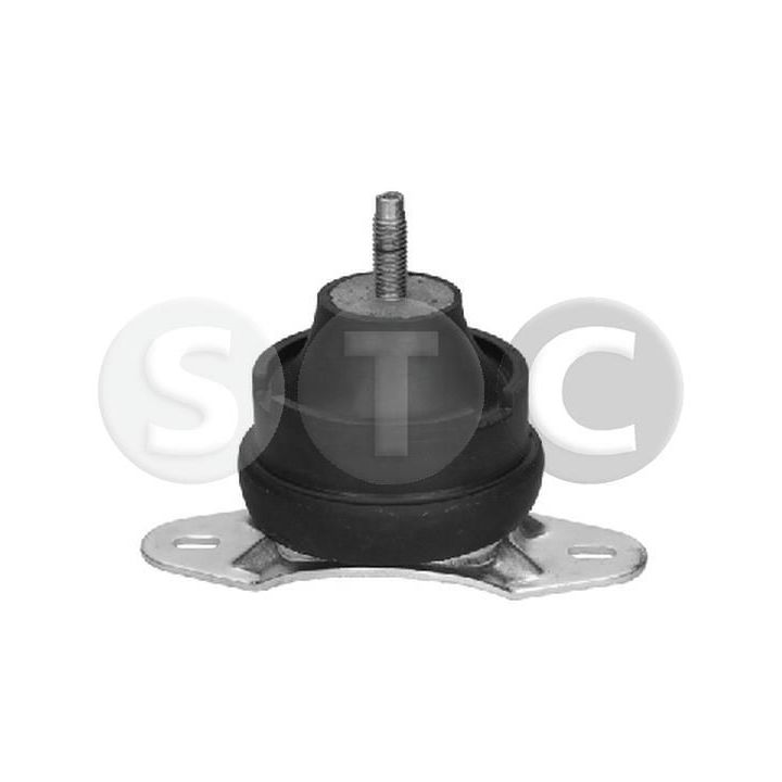 Variklio montavimas STC T457436