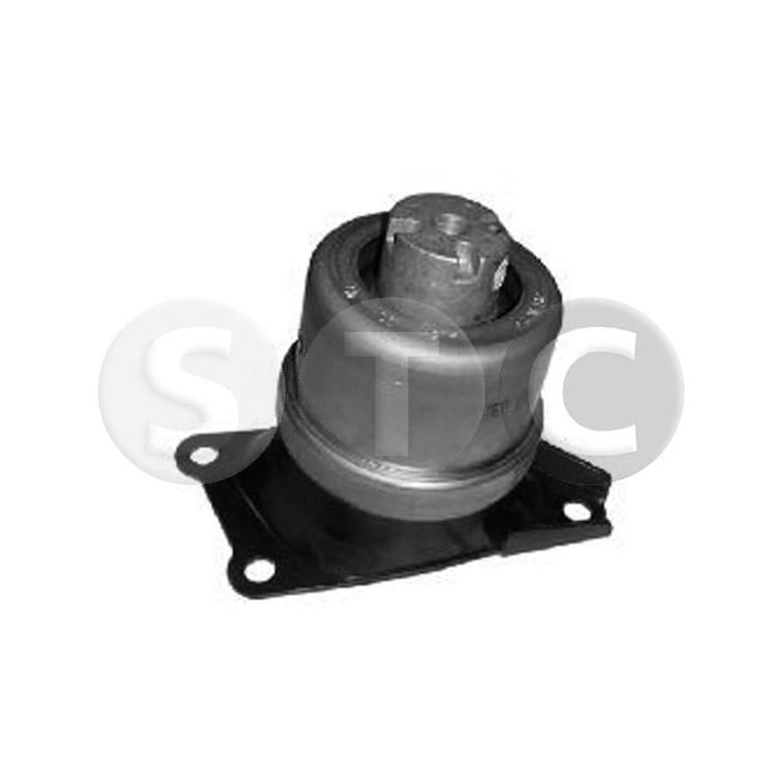 Variklio montavimas STC T457441