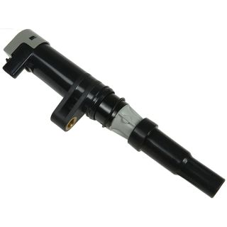 Ritė, uždegimas AS-PL IC9001