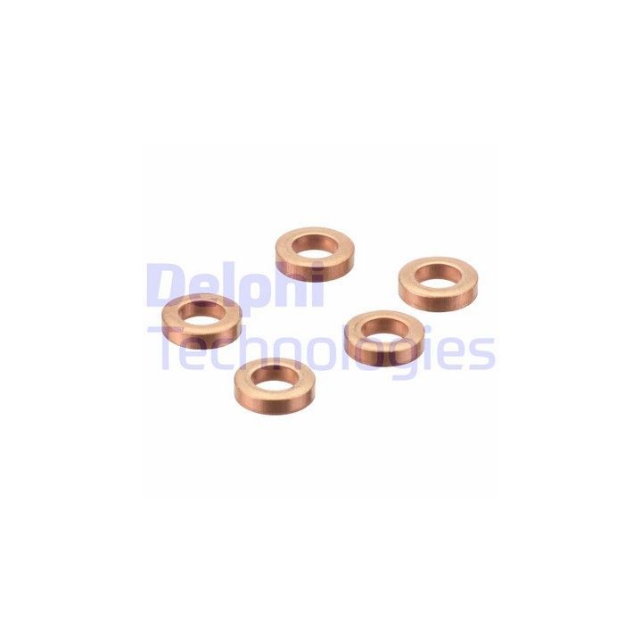 Kuro purkštuko varinė tarpinė DELPHI 9001-850L (kaina už 5 vnt.)