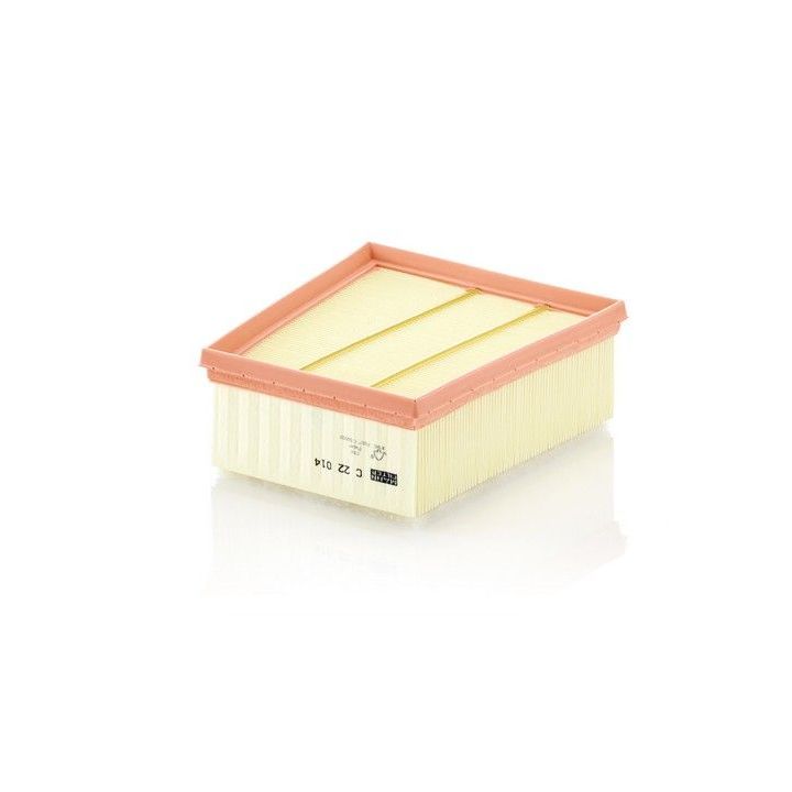 Oro filtras MANN FILTER C 22 014