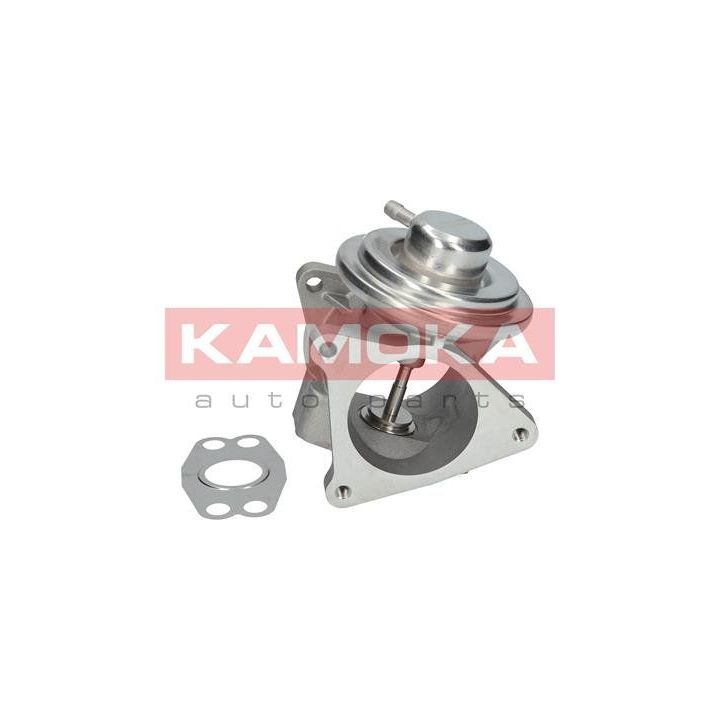 EGR VOŽTUVAS 19020 KAMOKA