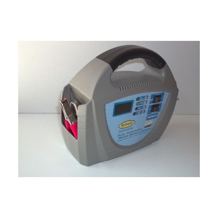 Akumuliatorių įkroviklis ''RING''  RECB208