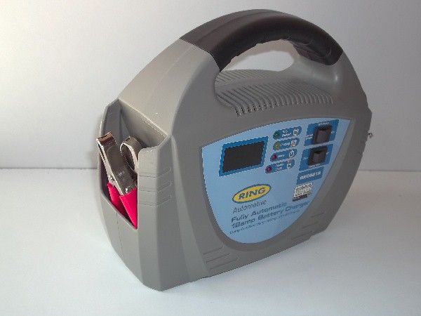 Akumuliatorių įkroviklis ''RING''  RECB208