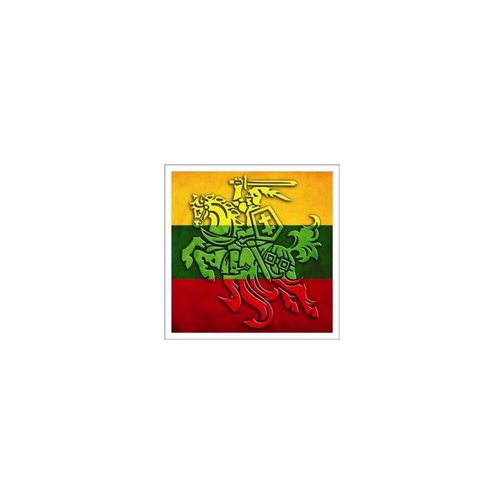 Lipdukas Vytis 120x120mm LIPV045