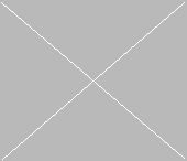 Bagažinės kilimėlis