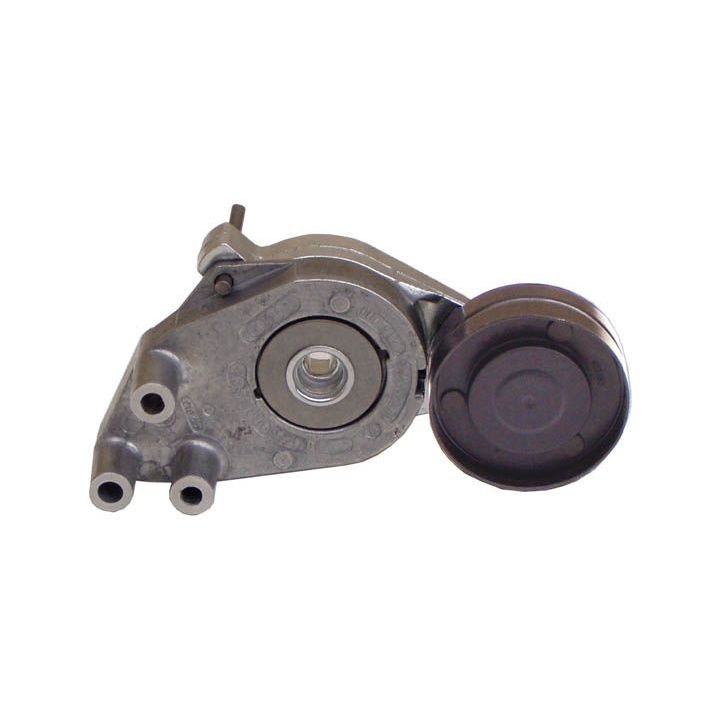 Generatoriaus diržo įtempėjas  046 903 133 A