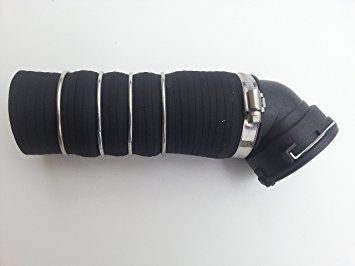 Kompresoriaus padavimo dešinės žarnos apatinis galas