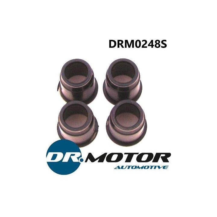 Purkštukų rem.k-tas DRM0248S