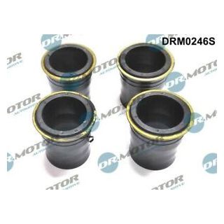 REMONTINIS KOMPLEKTAS DRM0246S