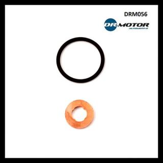 REMONTINIS KOMPLEKTAS DR.MOTOR DRM056