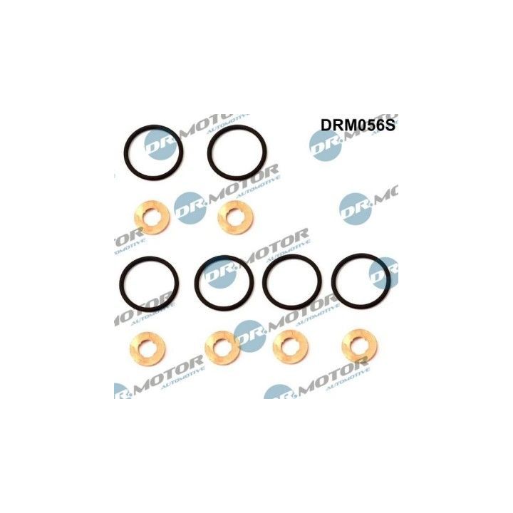 REMONTINIS KOMPLEKTAS DR.MOTOR DRM056S