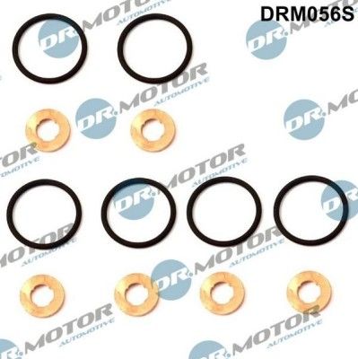 REMONTINIS KOMPLEKTAS DR.MOTOR DRM056S