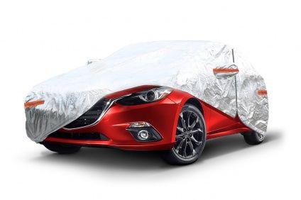 UŽDANGALAS AUTOMOBILIUI M DYDŽIO SIDABRO SPALVOS (01110)