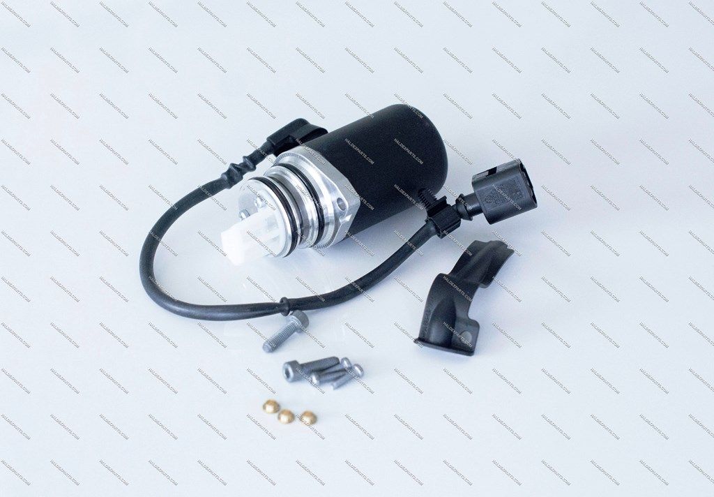 HALDEX siurbliukas BORGWARNER 118622