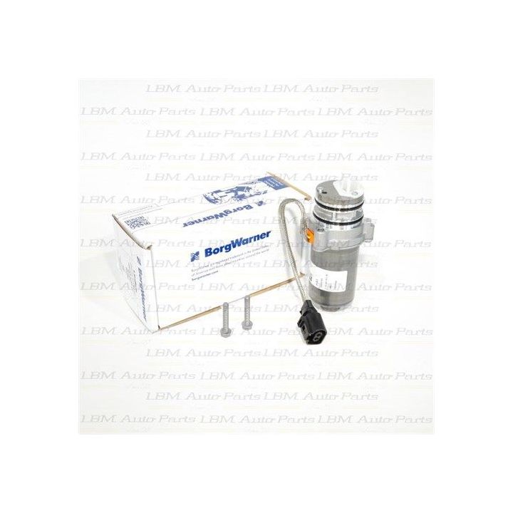 HALDEX siurbliukas BORGWARNER 2010676