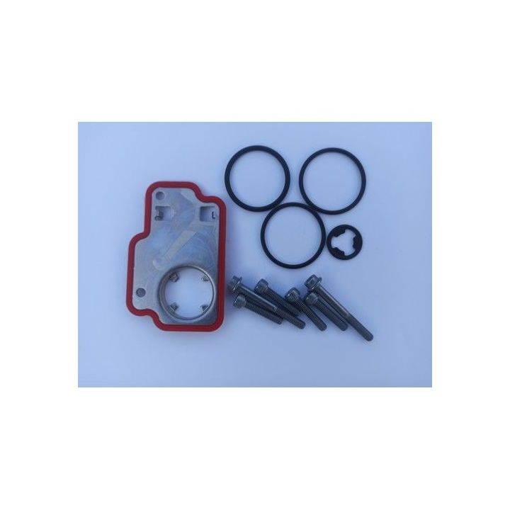 BorgWarner 111579 4th Gen sealing set