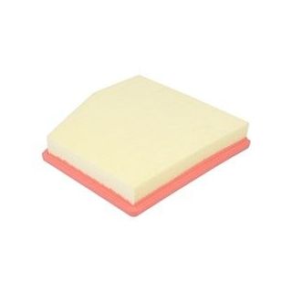 ORO FILTRAS PURRO PUR-PA6010