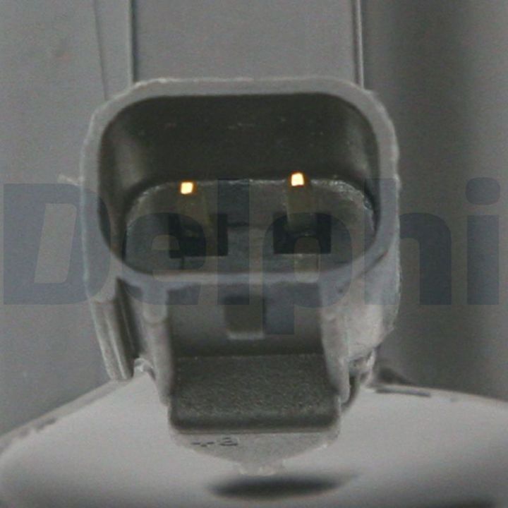 Ritė, uždegimas DELPHI GN10229-12B1