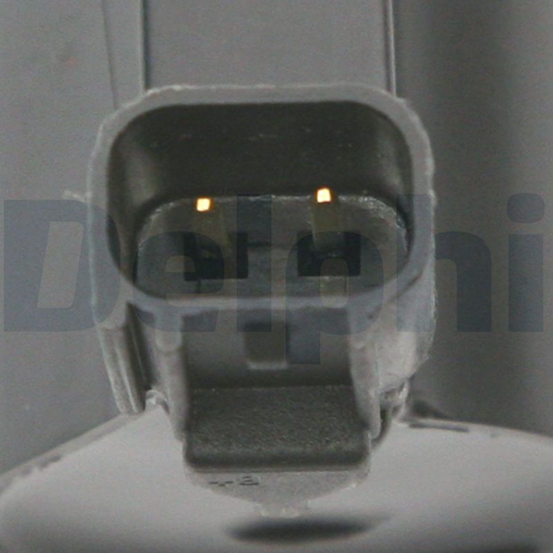 Ritė, uždegimas DELPHI GN10229-12B1