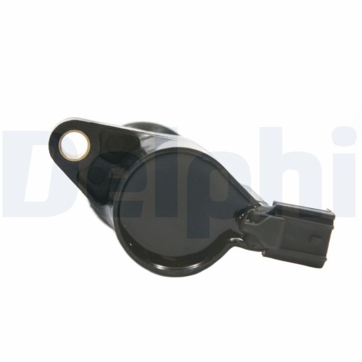 Ritė, uždegimas DELPHI GN10229-12B1