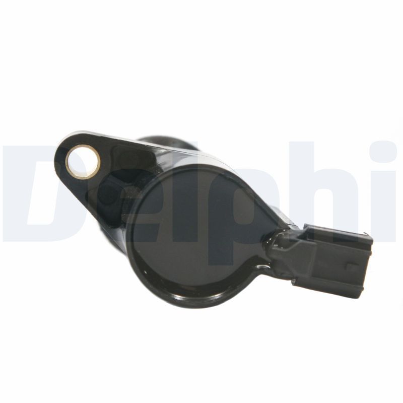 Ritė, uždegimas DELPHI GN10229-12B1