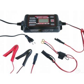 Pakrovėjas akumuliatoriaus 12V-6A , 24V-3A nuo 1,2 iki 180Ah ( PAK42909 )