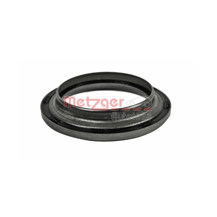 Frikcinis guolis, pakabos statramsčio atramos montavimas METZGER 6490134