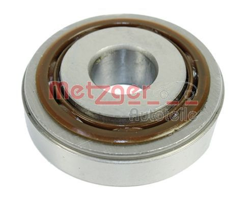 Frikcinis guolis, pakabos statramsčio atramos montavimas METZGER 6490157