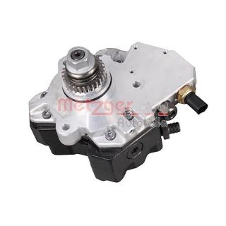 Aukšto slėgio siurblys METZGER 0830132