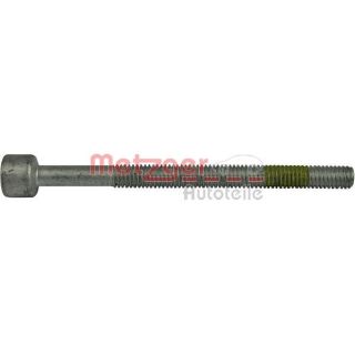 Varžtas, purkštuko antgalio laikiklis METZGER 0873015