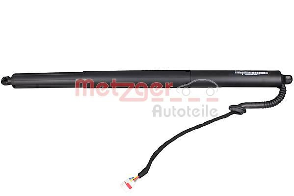 Galinių durų elektros variklis METZGER 2115008