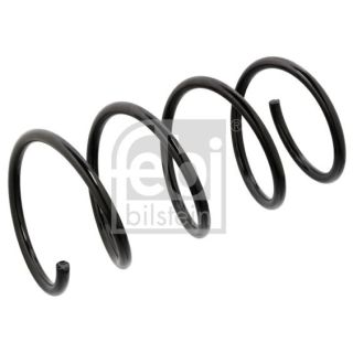 Spyruoklė FEBI BILSTEIN 104727