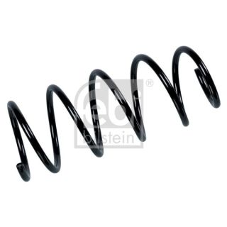 Spyruoklė FEBI BILSTEIN 104729