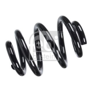 Spyruoklė FEBI BILSTEIN 104744