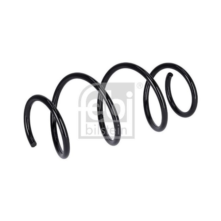 Spyruoklė FEBI BILSTEIN 181319